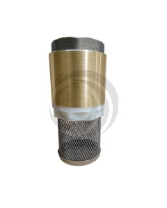 Valvula Bronce Check (Anti-retorno) 1" HI Filtro Metalico